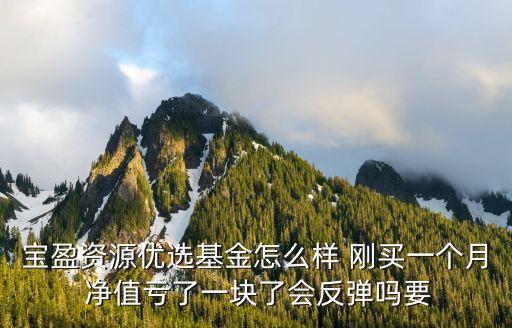 寶盈資源優(yōu)選基金怎么樣，新人通過證券公司買基金定投一年買213008 這只怎么樣是什么類