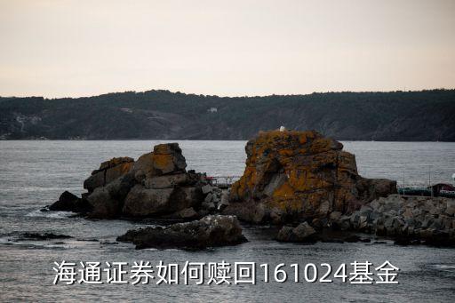 海通證券如何贖回161024基金
