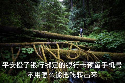 平安橙子銀行綁定的銀行卡預(yù)留手機(jī)號(hào)不用怎么能把錢轉(zhuǎn)出來(lái)