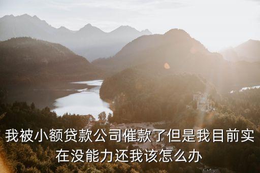 我被小額貸款公司催款了但是我目前實在沒能力還我該怎么辦