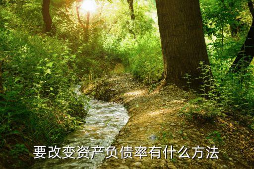 要改變資產(chǎn)負(fù)債率有什么方法