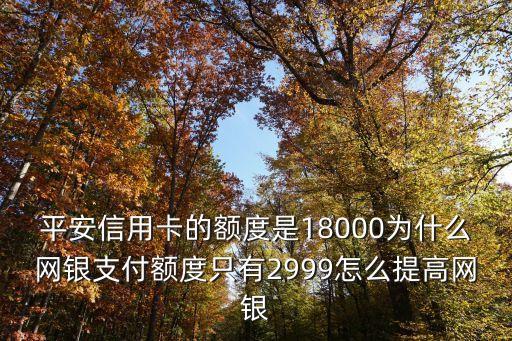 平安怎么無(wú)損大額網(wǎng)付，中國(guó)平安人壽保險(xiǎn)網(wǎng)上怎樣付款