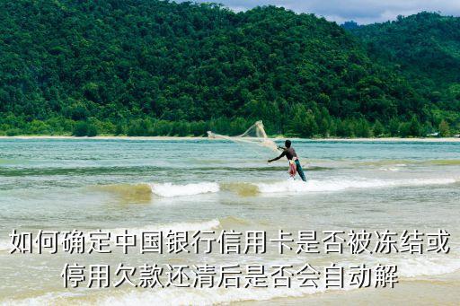 如何確定中國銀行信用卡是否被凍結(jié)或停用欠款還清后是否會自動解