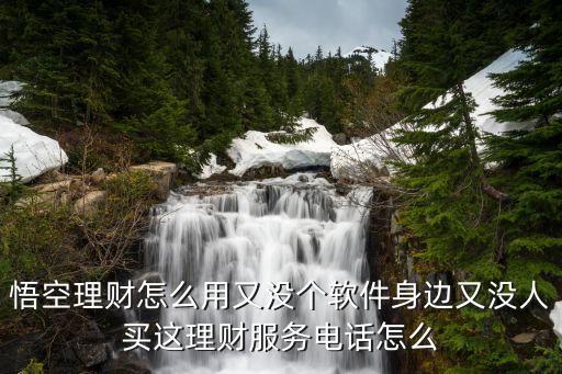 悟空理財(cái)怎么進(jìn)行，悟空理財(cái)怎么用又沒個軟件身邊又沒人買這理財(cái)服務(wù)電話怎么