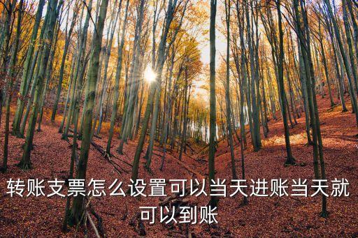 轉(zhuǎn)賬支票怎么設(shè)置可以當(dāng)天進(jìn)賬當(dāng)天就可以到賬