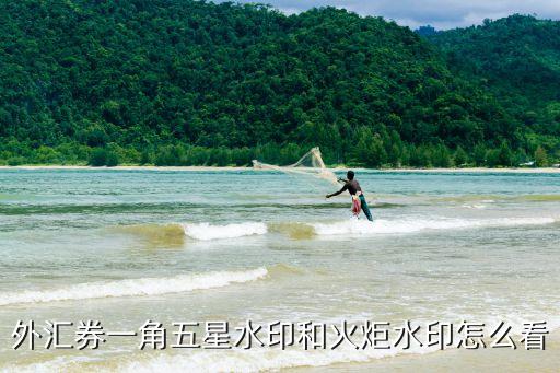 外匯券一角五星水印和火炬水印怎么看