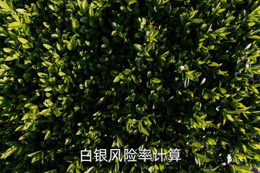 白銀風(fēng)險(xiǎn)率計(jì)算