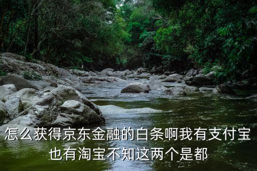 怎么獲得京東金融的白條啊我有支付寶也有淘寶不知這兩個(gè)是都