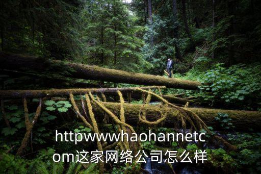 httpwwwhaohannetcom這家網(wǎng)絡(luò)公司怎么樣