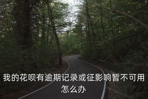我的花唄有逾期記錄或征影響暫不可用怎么辦