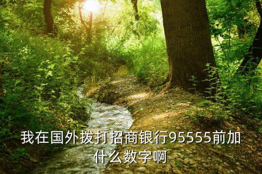 我在國外撥打招商銀行95555前加什么數(shù)字啊