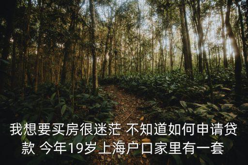 我想要買房很迷茫 不知道如何申請貸款 今年19歲上海戶口家里有一套