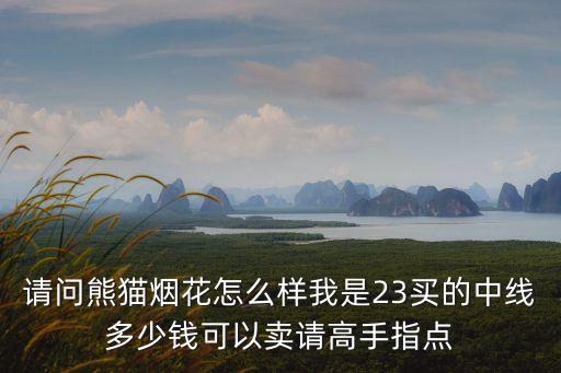請問熊貓煙花怎么樣我是23買的中線多少錢可以賣請高手指點