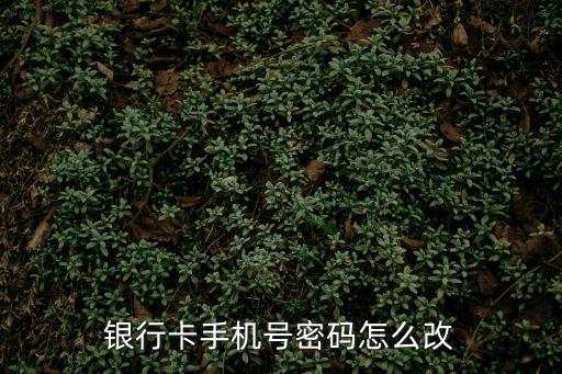 辦銀行卡綁定手機(jī)號碼怎么改密碼是多少，手機(jī)怎么改銀行卡密碼啊