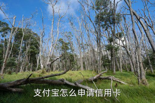 馬云的信用卡怎么申清，螞蟻寶卡信用卡怎么申請(qǐng) 申請(qǐng)條件有哪些