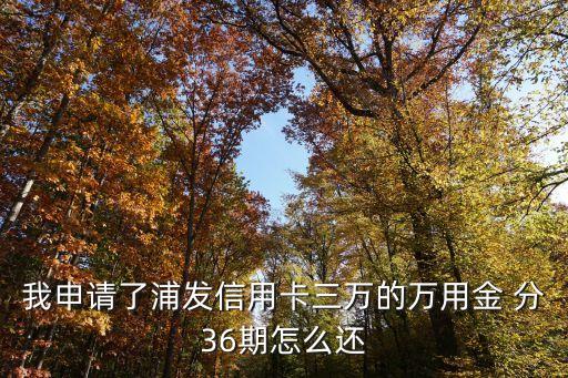 我申請(qǐng)了浦發(fā)信用卡三萬(wàn)的萬(wàn)用金 分36期怎么還