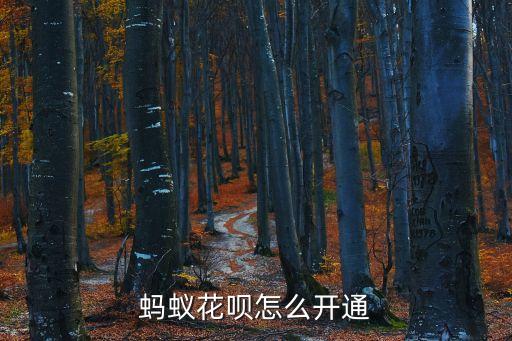 螞蟻花吧怎么開通，螞蟻花唄怎樣開通