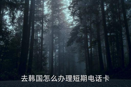 去韓國怎么辦理短期電話卡