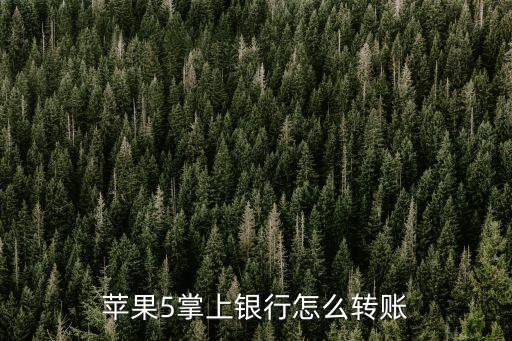 蘋果手機(jī)銀行怎么使用，蘋果5掌上銀行怎么轉(zhuǎn)賬