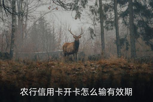 農(nóng)行信用卡的有效期怎么輸入，農(nóng)業(yè)銀行信用卡有效期怎么輸入