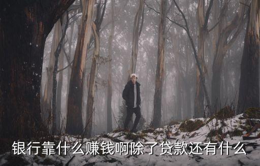 銀行怎么掙錢，銀行是如何賺錢的