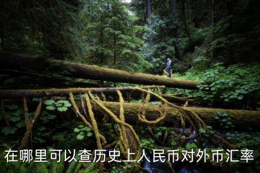 1年之前匯率怎么查，在哪里可以查歷史上人民幣對(duì)外幣匯率