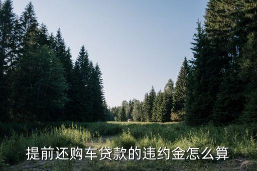 提前還購車貸款的違約金怎么算