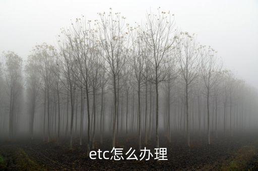 etc怎么辦理