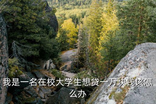 學(xué)生貸款一萬元怎么貸，助學(xué)貸款怎樣才能貸到1萬元