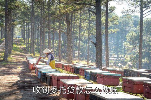貸款中介怎么做帳，金融中介公司怎么做賬在線等急