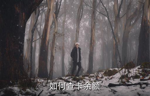 如何查卡余額