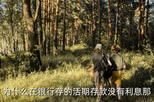 為什么在銀行存的活期存款沒有利息那