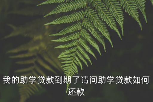 我的助學(xué)貸款到期了請(qǐng)問助學(xué)貸款如何還款