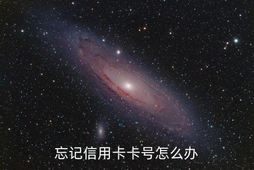 忘記信用卡卡號怎么辦