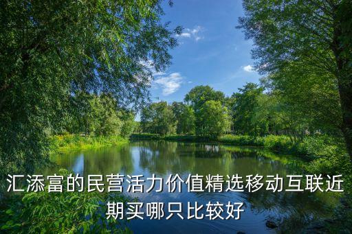 匯添富的民營(yíng)活力價(jià)值精選移動(dòng)互聯(lián)近期買哪只比較好