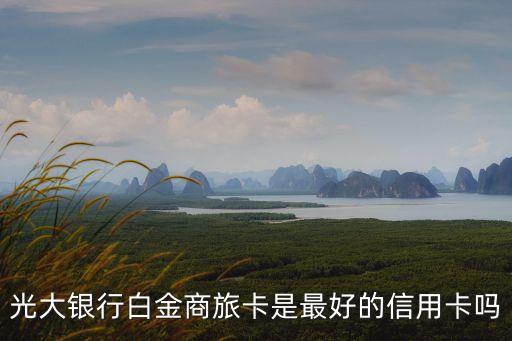 光大銀行白金商旅卡是最好的信用卡嗎