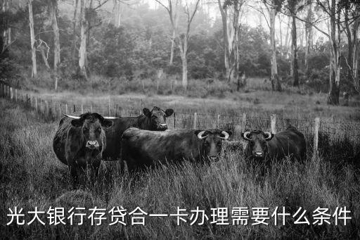 光大銀行存貸合一卡辦理需要什么條件