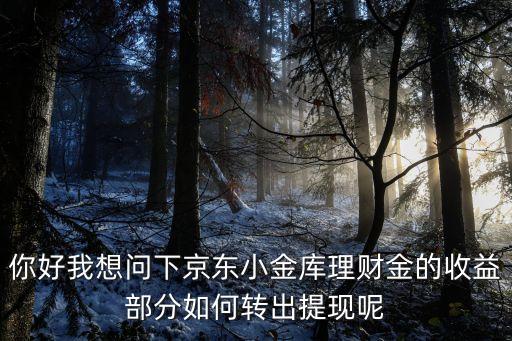你好我想問下京東小金庫理財(cái)金的收益部分如何轉(zhuǎn)出提現(xiàn)呢