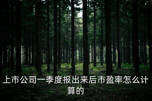 上市公司一季度報(bào)出來(lái)后市盈率怎么計(jì)算的