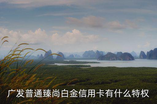 廣發(fā)普通臻尚白金信用卡有什么特權(quán)