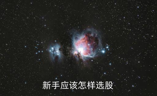 新手怎么挑選個(gè)股，新手應(yīng)該怎樣選股