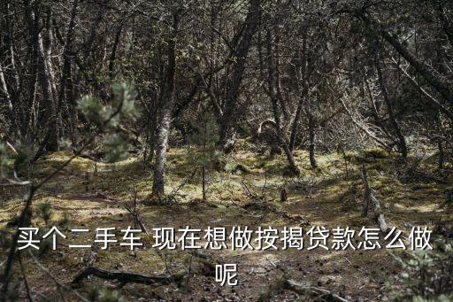 買個二手車 現(xiàn)在想做按揭貸款怎么做呢