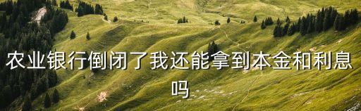 農(nóng)行倒閉錢怎么辦，農(nóng)業(yè)銀行如果破產(chǎn)了我卡里的錢怎么辦
