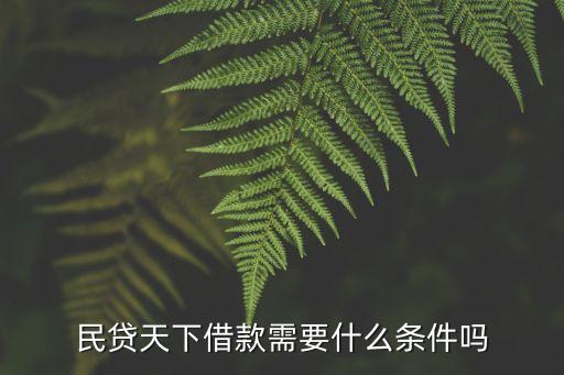 民貸天下借款需要什么條件嗎