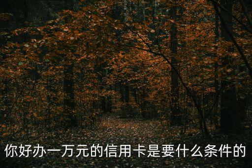 你好辦一萬元的信用卡是要什么條件的