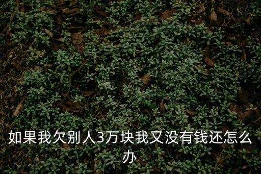如果我欠別人3萬(wàn)塊我又沒(méi)有錢(qián)還怎么辦