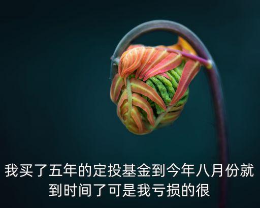基金虧損嚴(yán)重怎么辦，買(mǎi)基金虧了好多錢(qián)怎么辦