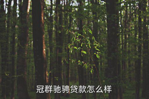 冠群馳騁貸款怎么樣