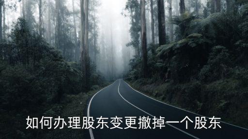 怎么清退另外一個股東，如何辦理股東變更撤掉一個股東