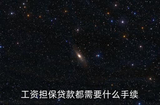 工資擔(dān)保貸款都需要什么手續(xù)